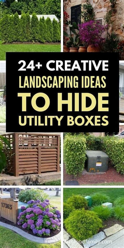 evergreens to hide electric box|plants to hide indoors.